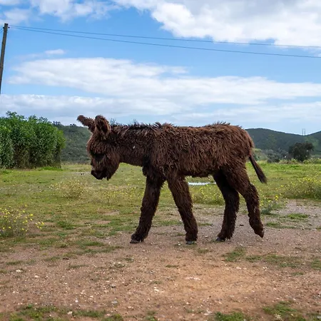 Bauernhof Burro By Host Wise Portimão