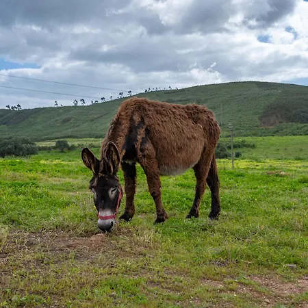 Farma Burro By Host Wise