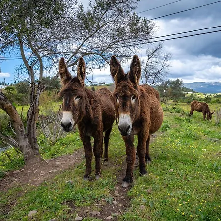 农家乐 Burro By Host Wise *