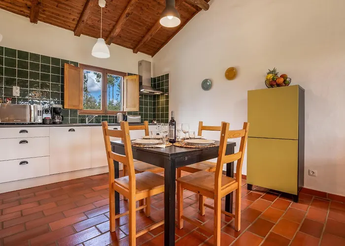 Burro By Host Wise *