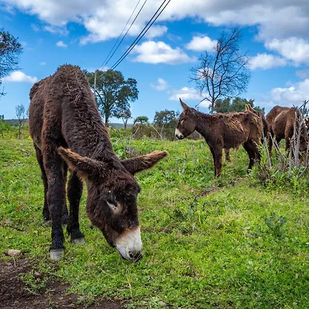 Çiftlik konaklama Burro By Host Wise *
