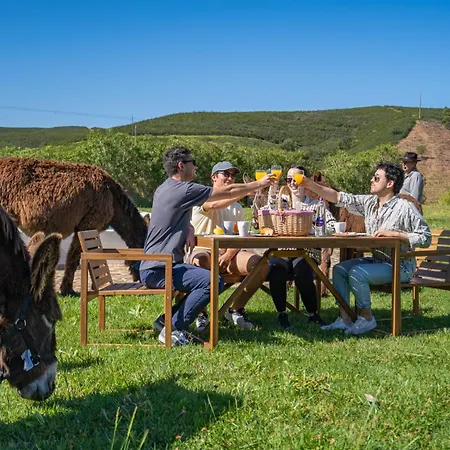 Burro By Host Wise Çiftlik konaklama