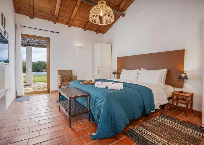 Burro By Host Wise *