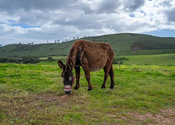 مزرعة للإقامة Burro By Host Wise