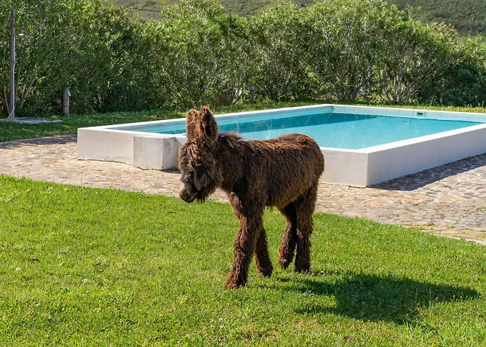 مزرعة للإقامة Burro By Host Wise بورتيماو