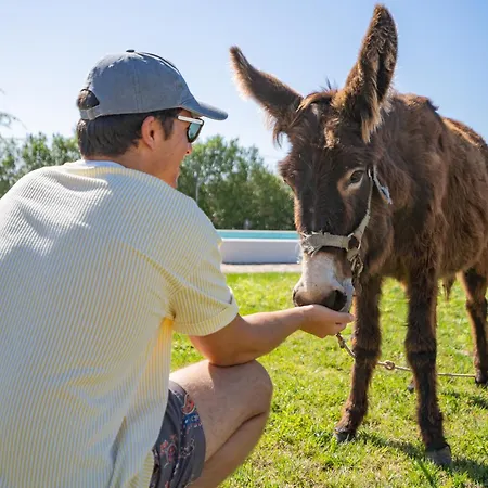 Burro Ville *