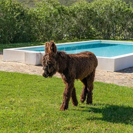 Lantgård Burro Ville Portimão