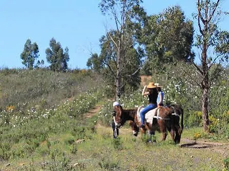 Burro Ville Lantgård Portimão