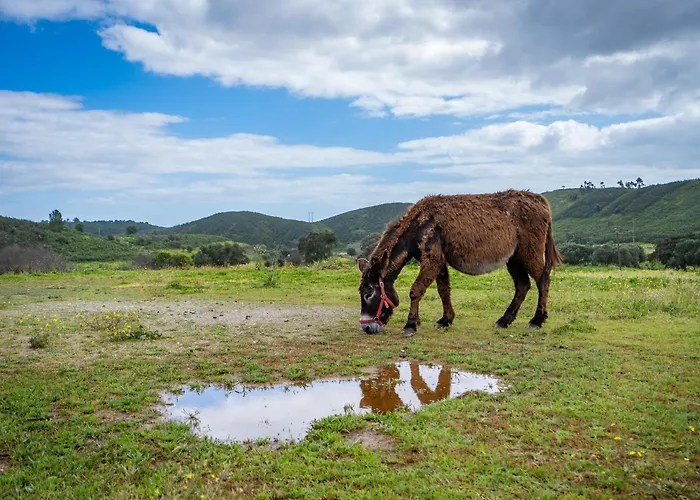 Burro Ville Farm stay Portimao