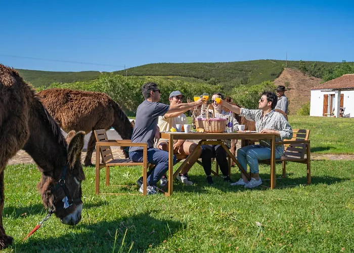 Burro Ville Farm stay