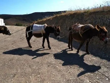 Farm stay Burro Ville Portimao