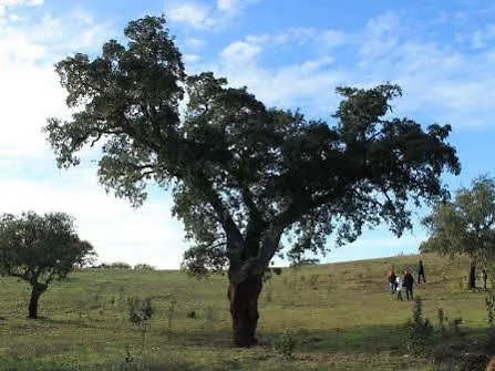 Burro Ville Farm stay *